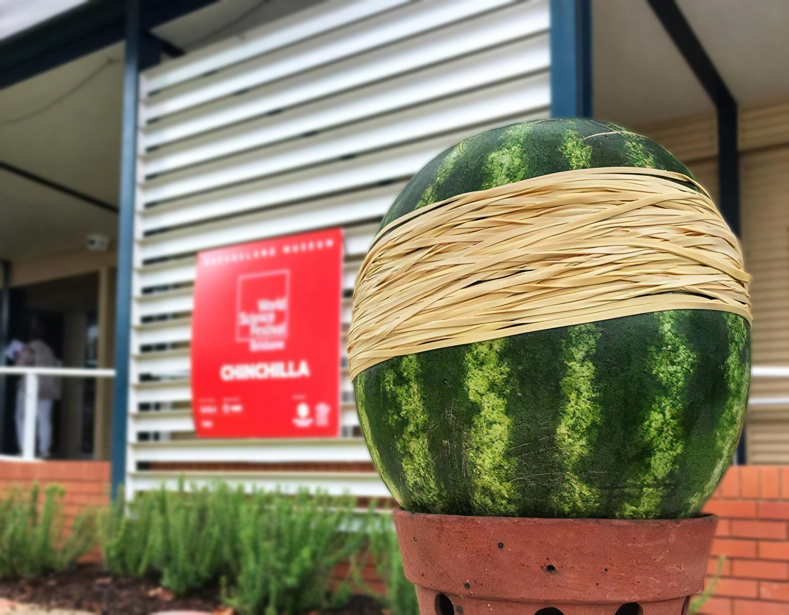 Experimentary - The Big Watermelon Experiment - Register Your School!